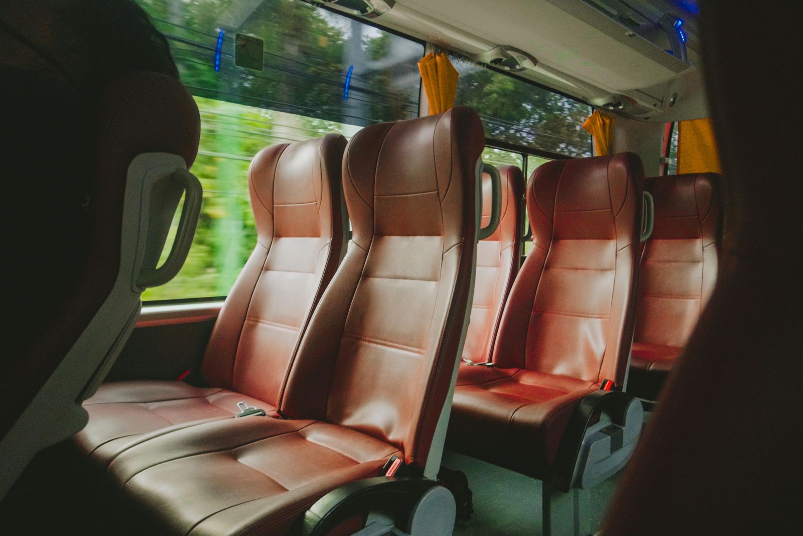bus